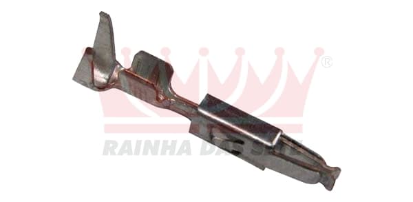 TERM.CENTRA LIN.VW MICRO