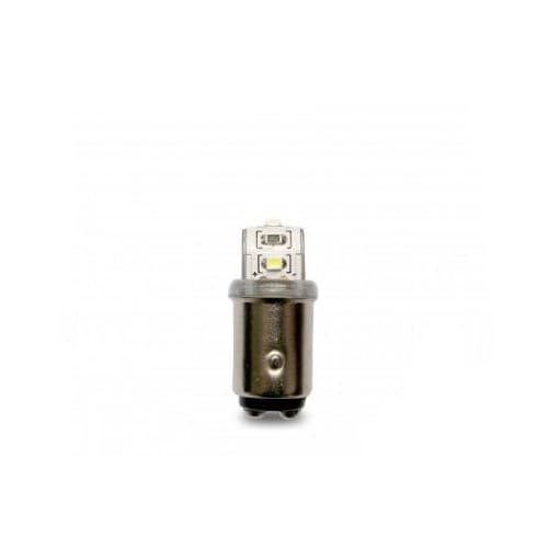 LAMPADA 1034 12V TRILED P21/5W BLISTER